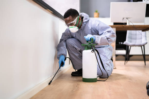 Best Pest Prevention Services  in Ada, MN